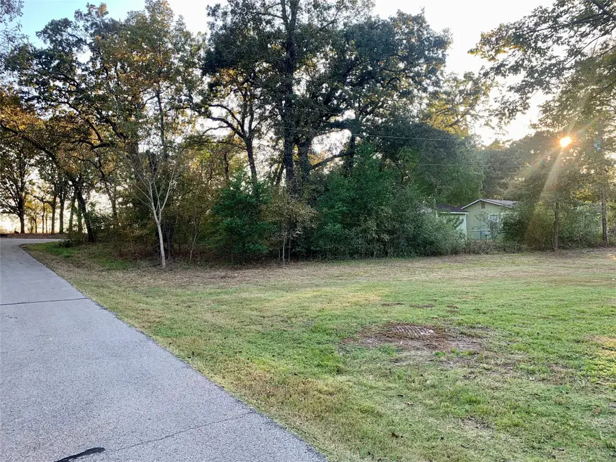 00 Leaning Oak Drive, Tool, TX 75143 - Image #2