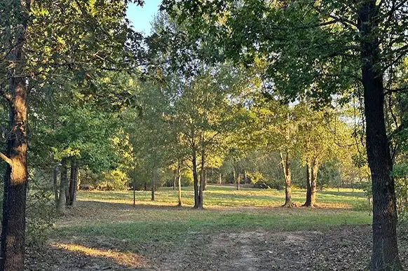 00 County Rd 4885, Winnsboro, TX 75494 - Image #1