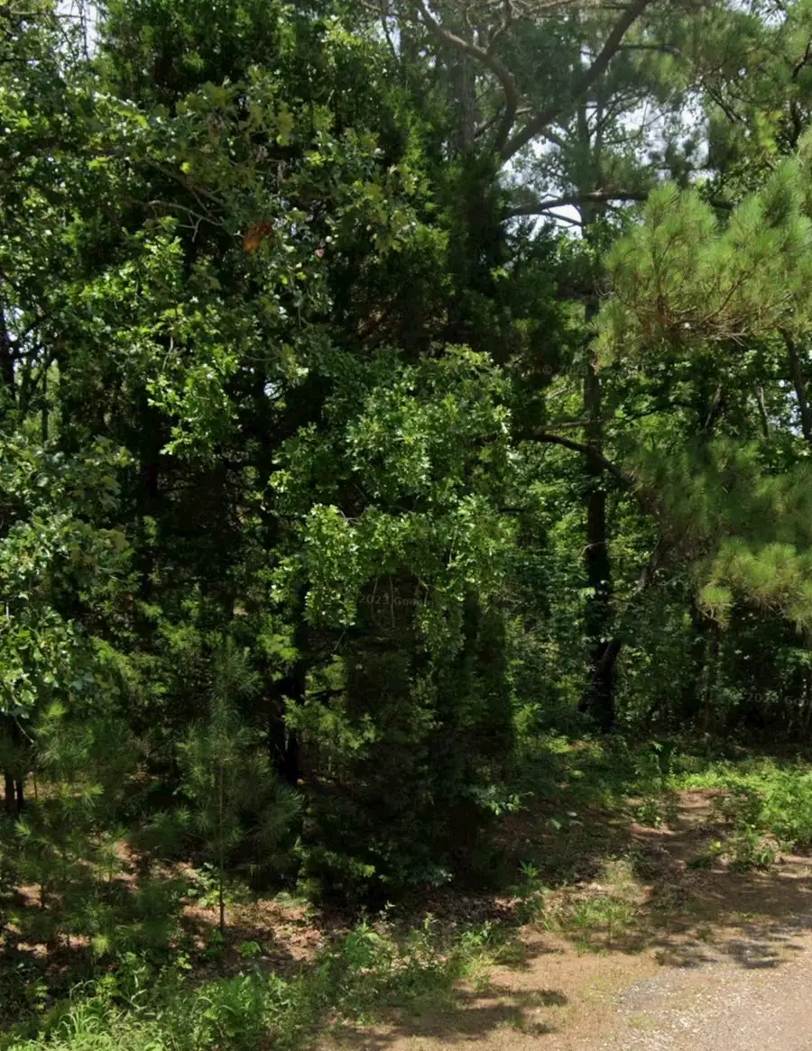 5343 Sam Bass, Log Cabin, TX 75074 - Image #2