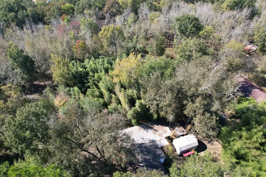 456 Marshall Ivy Rd, Huntington, TX 75949 - Image #2