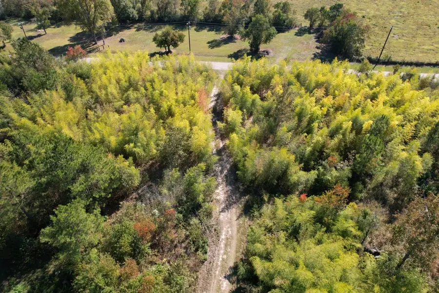 456 Marshall Ivy Rd, Huntington, TX 75949 - Image #3