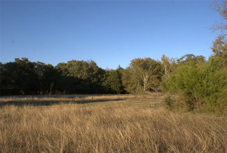 TBD Vz County Road 2147, Wills Point, TX 75169 - Image #3