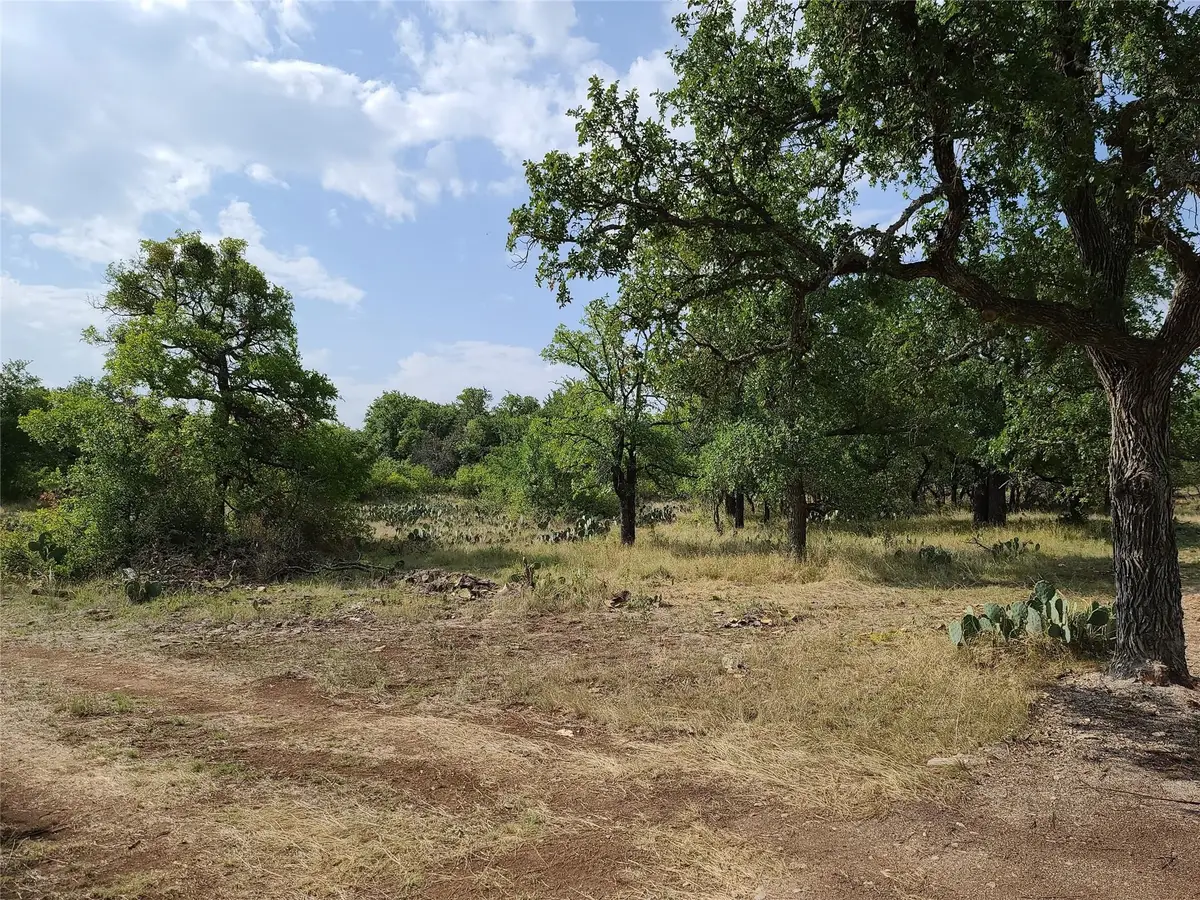 tbd Long View Drive, Brownwood, TX 76801 - Image #1