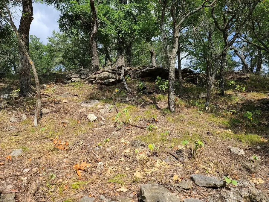 tbd Long View Drive, Brownwood, TX 76801 - Image #3