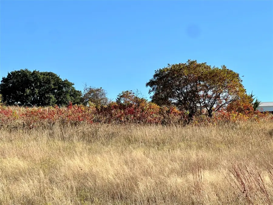 171 County Road 306, Goldthwaite, TX 76844 - Image #3