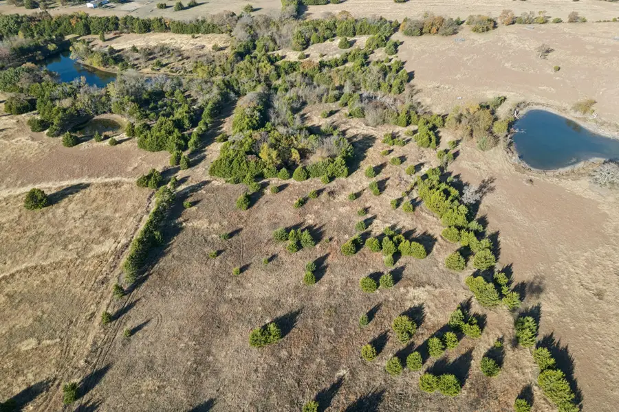 TBD Bus 78s, Blue Ridge, TX 75424 - Image #3