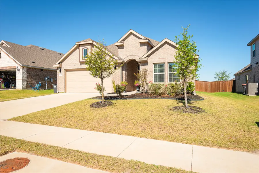 1229 Sunbeam Cove, Anna, TX 75409 - Image #3
