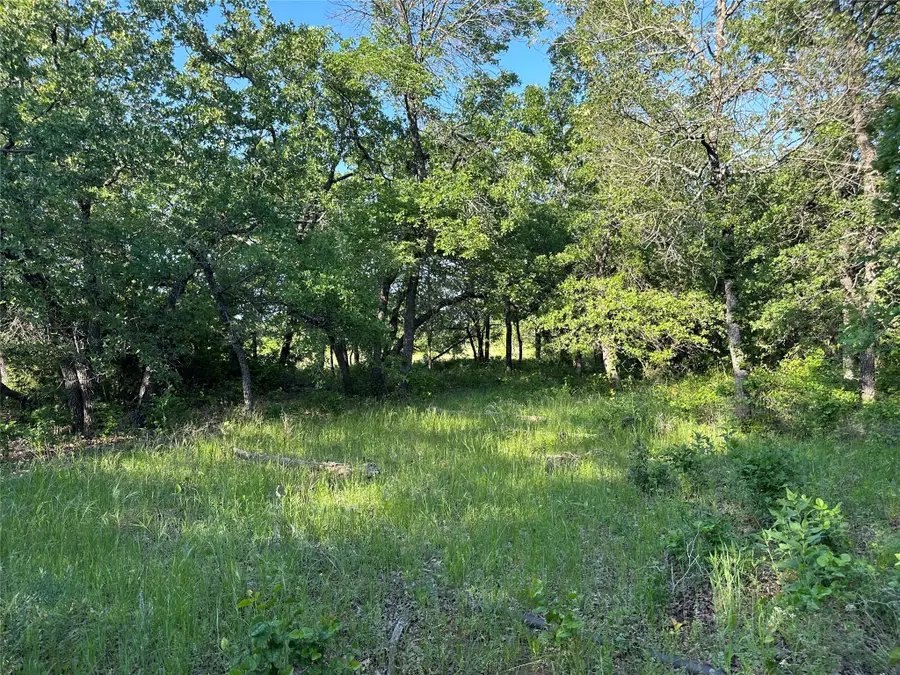 TBD County Road 1895, Sunset, TX 76270 - Image #2