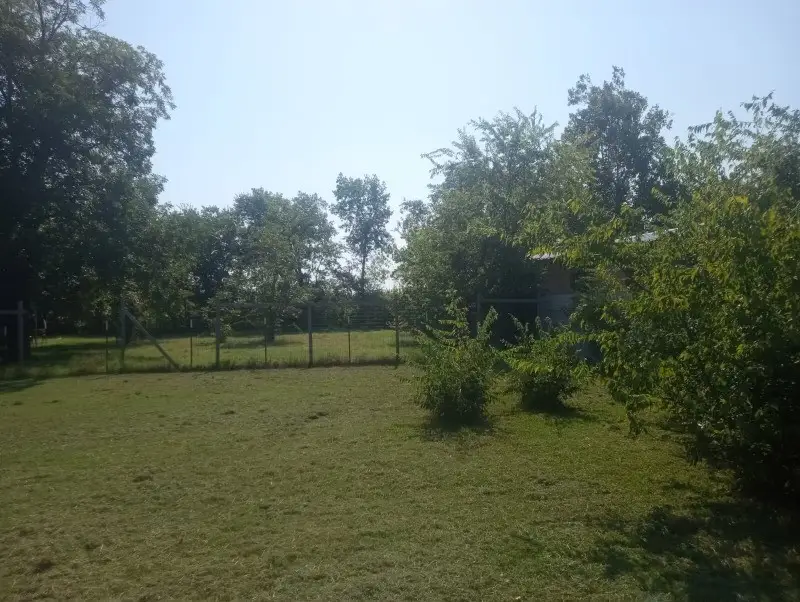 TBD Depot Street, Whitesboro, TX 76273 - Image #2