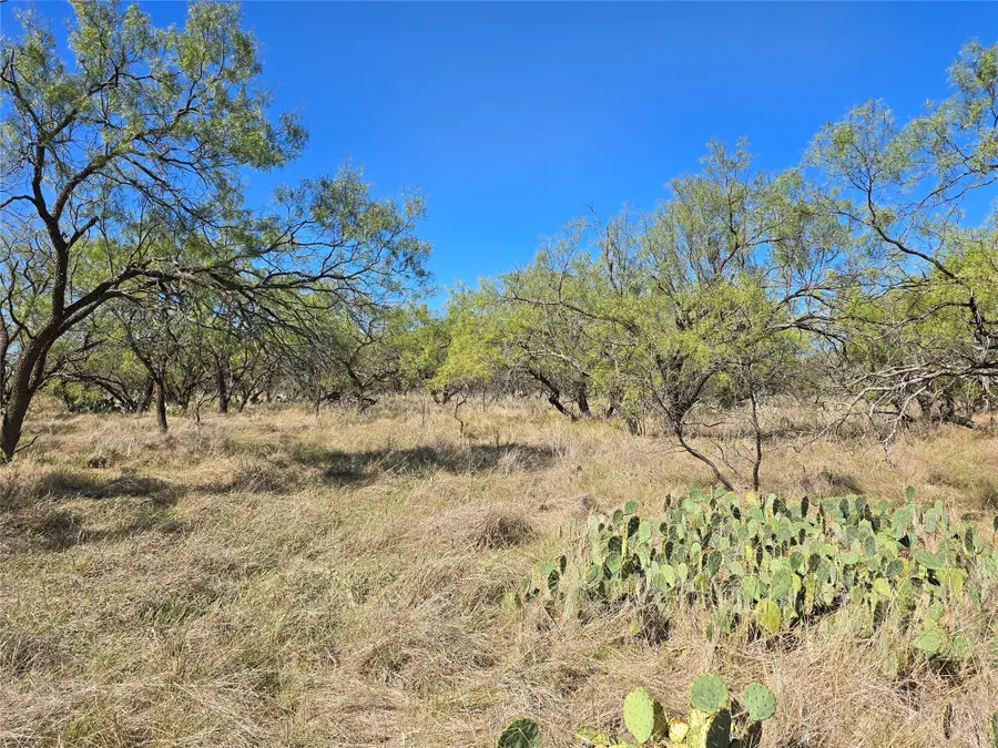 8447 County Road 210, Clyde, TX 79510 - Image #3