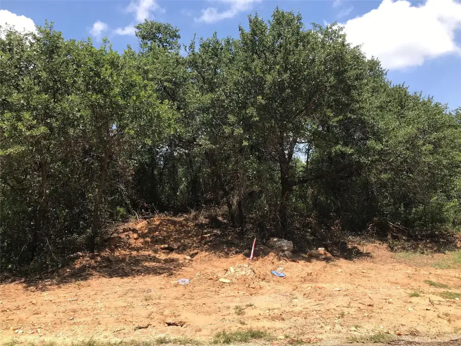 1190 N Lakeview Drive, Palo Pinto, TX 76484 - Image #2