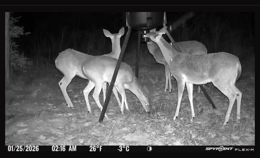 17741 County Road 431, Lindale, TX 75771 - #2