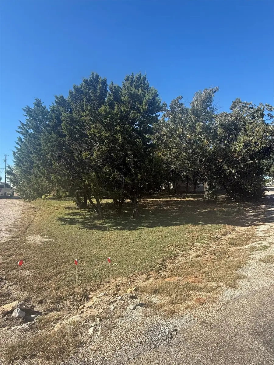 TBD Big Bend Drive, Whitney, TX 76692 - Image #3
