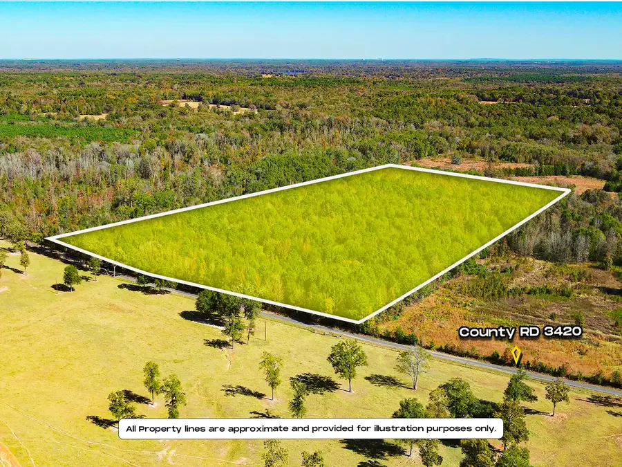 TBD County Road 3420, Leesburg, TX 75451 - Image #2