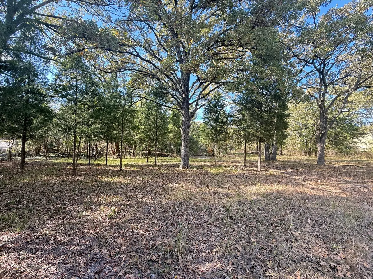 Lot 11 Harris Boulevard, Malakoff, TX 75148 - Image #1