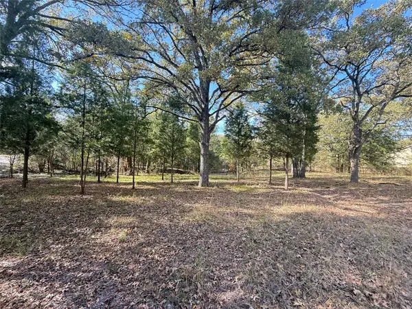 Lot 11 Harris Boulevard, Malakoff, TX 75148