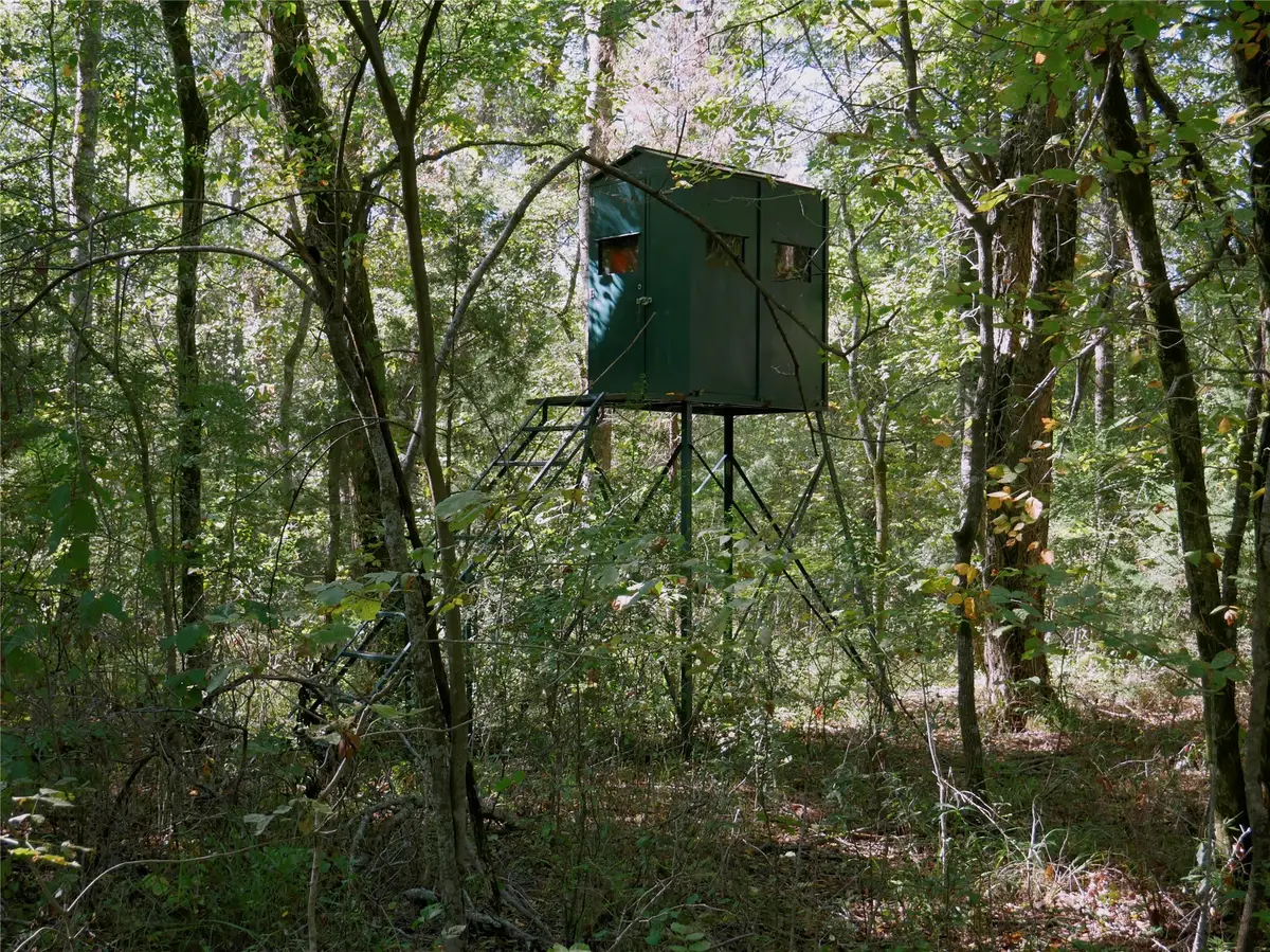 9948 Richardson Rd, Athens, TX 75751 - Image #1