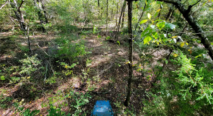 9948 Richardson Rd, Athens, TX 75751 - Image #2