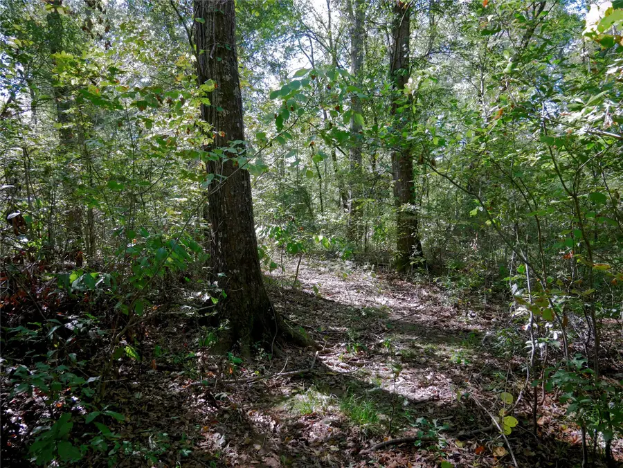 9948 Richardson Rd, Athens, TX 75751 - Image #3