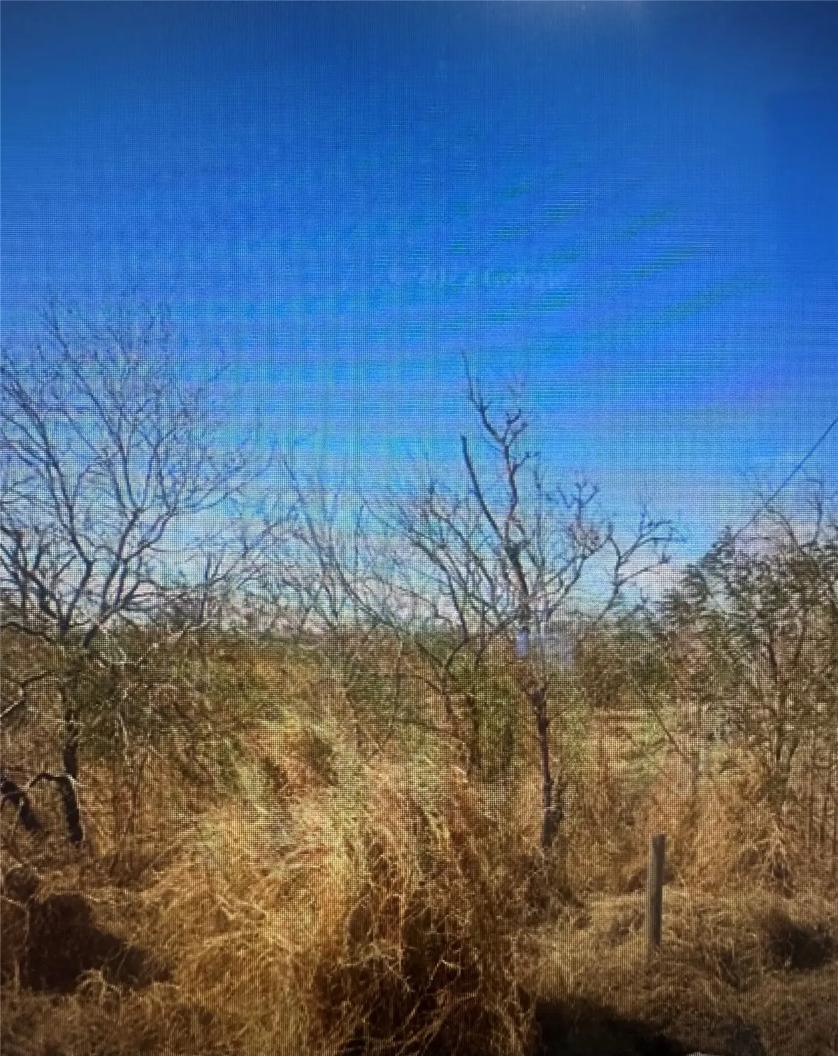 TBD County Road 310, Mathis, TX 78368 - Image #1