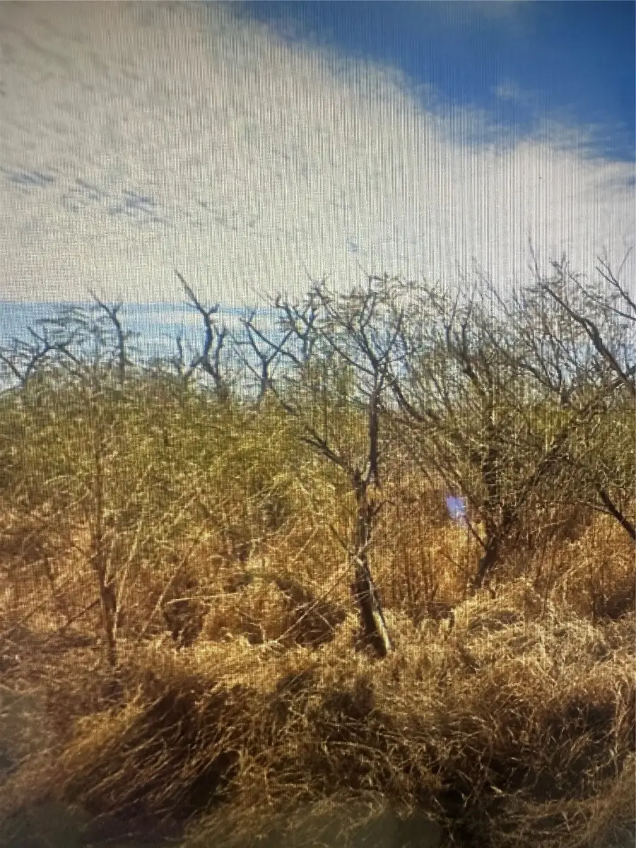 TBD County Road 310, Mathis, TX 78368 - Image #2