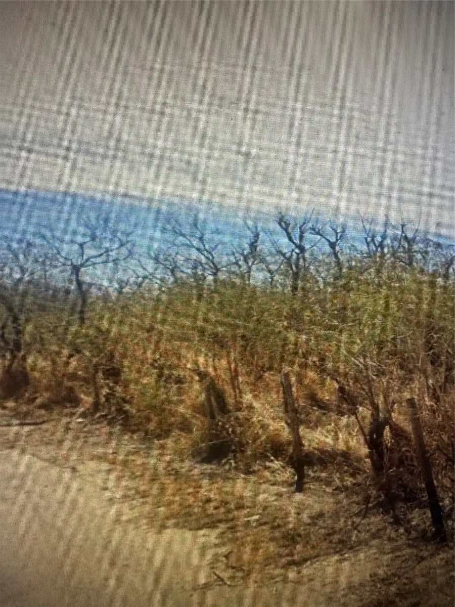 TBD County Road 310, Mathis, TX 78368 - Image #3