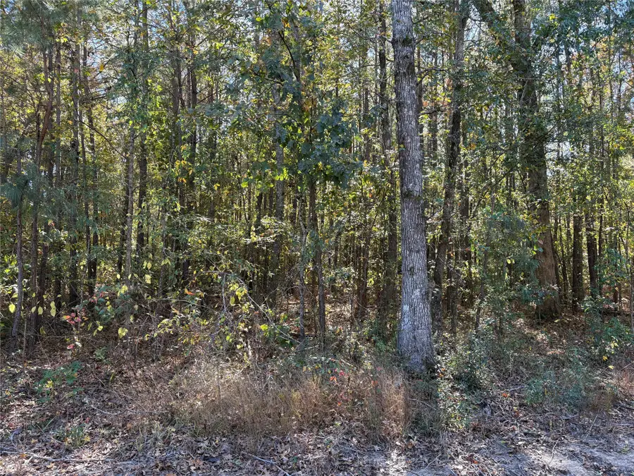 00 Circle Square, Mooringsport, LA 71060 - Image #3