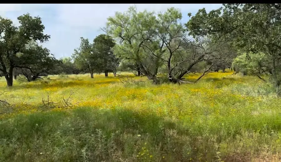 259 Jayden Lane, Loving, TX 76460 - Image #2