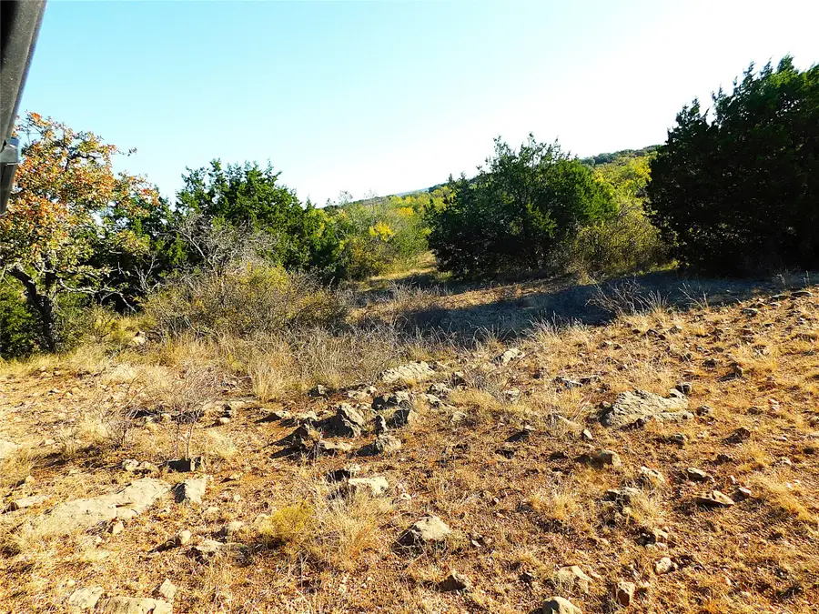 TBD County Road 131, Brownwood, TX 76801 - Image #3