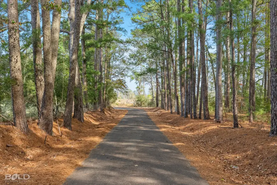 0 Pierce Road, Logansport, LA 71049 - Image #3