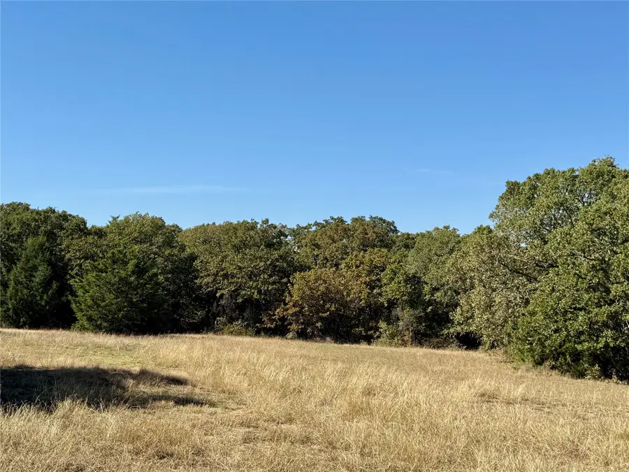 TBD Big Tree Road, Montague, TX 76251 - Image #2