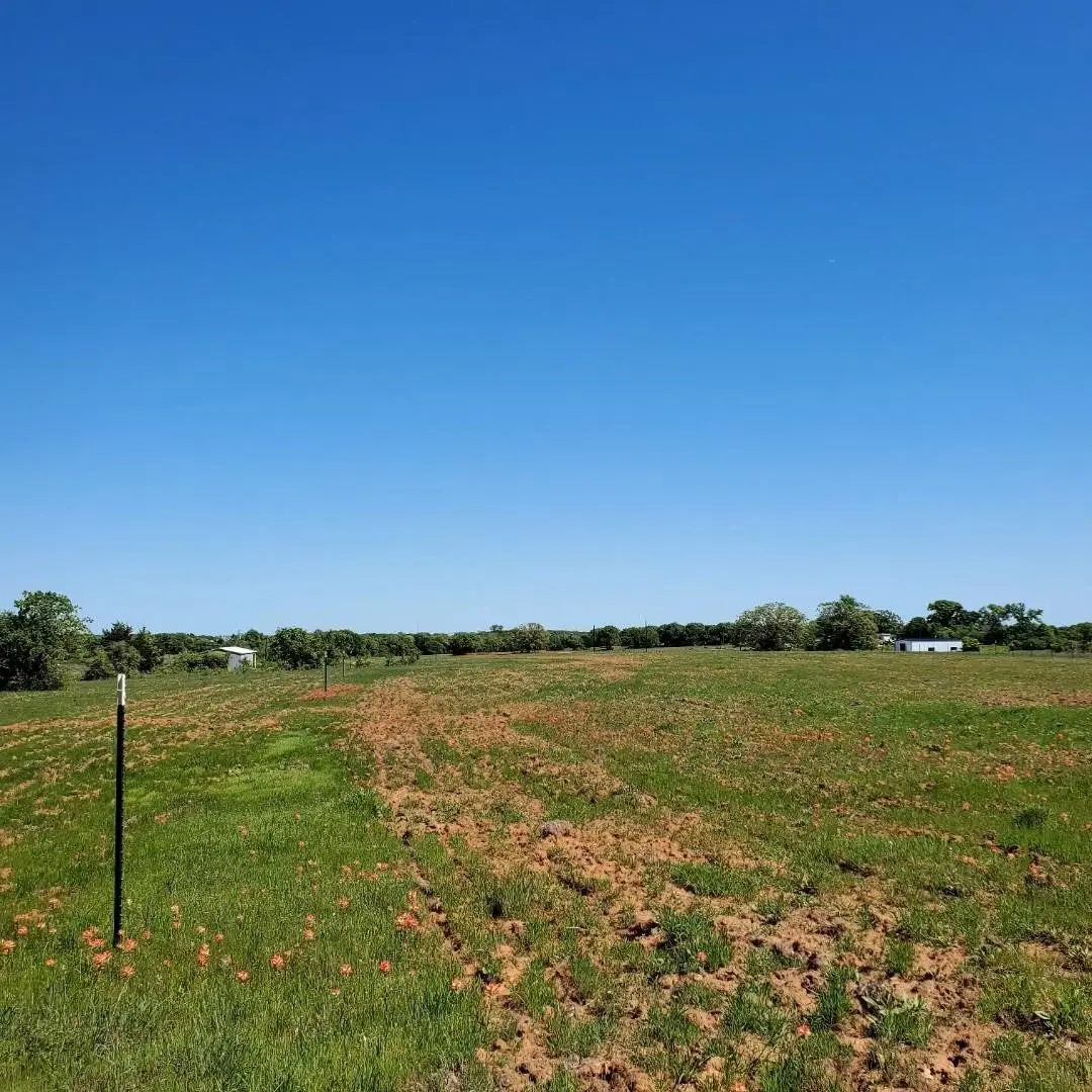 TBD County Road 1480, Alvord, TX 76431 - Image #1