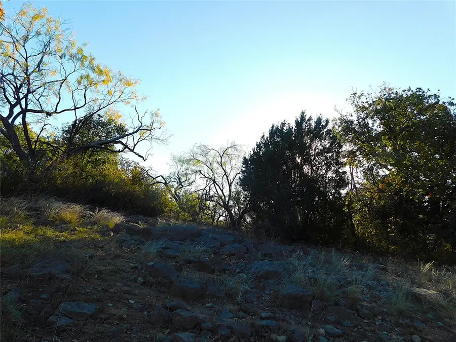 Tract 3 County Road 131, Brownwood, TX 76801 - Image #2