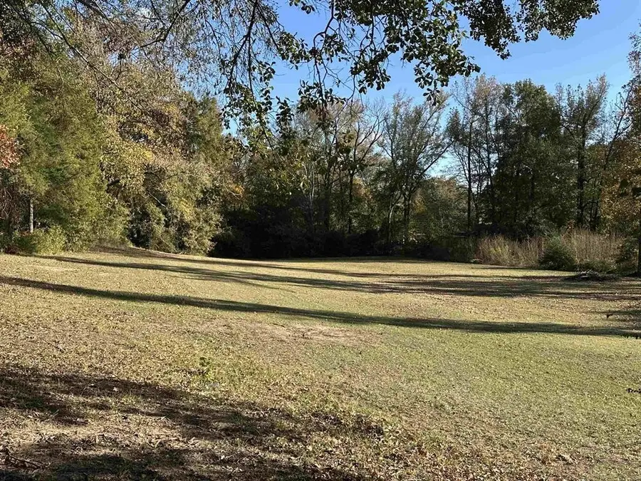 TBD N Cecelia, Mount Pleasant, TX 75455 - #3