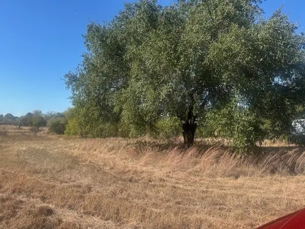 8913 S Peaceful Court, Granbury, TX 76048