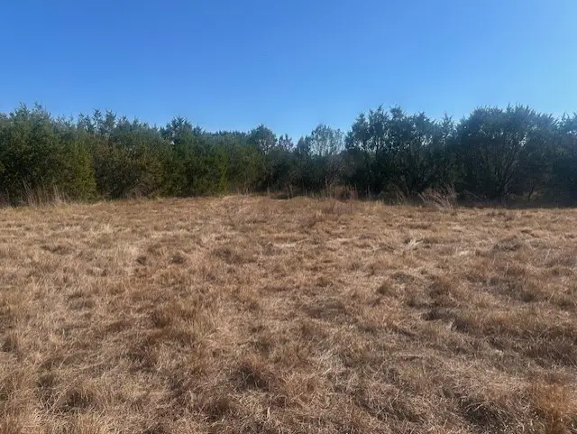 8913 S Peaceful Court, Granbury, TX 76048 - Image #2