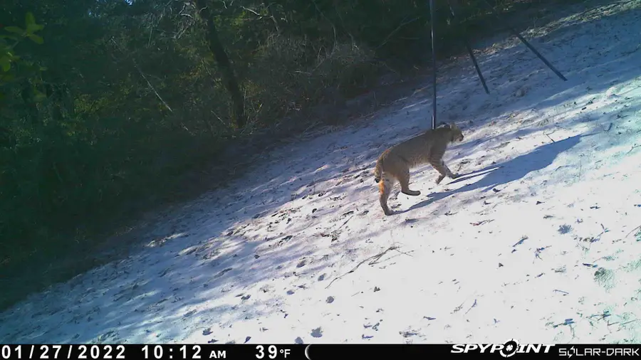 278 Pr 5787 A, Groesbeck, TX 76642 - Image #3