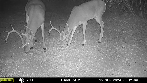 12750 Cr 129, Brownwood, TX 76801