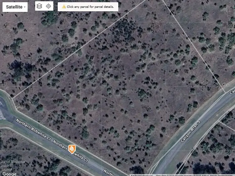 Lot 23 Northern Bobwhite, Graford, TX 76449 - Image #1