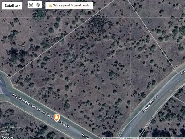 Lot 23 Northern Bobwhite, Graford, TX 76449