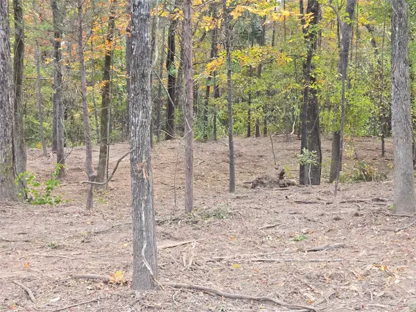 0 Lambert Street, Shreveport, LA 71119