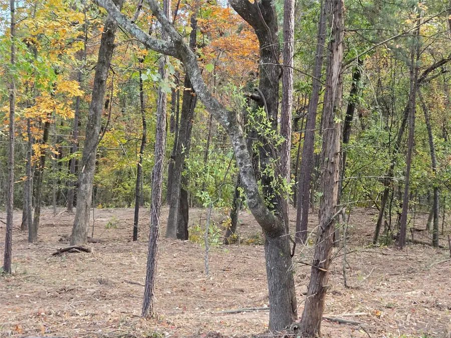 0 Lambert Street, Shreveport, LA 71119 - Image #2