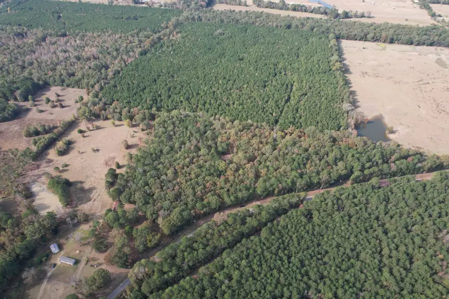 TBD-A Boggy Road, Waskom, TX 75692 - #2