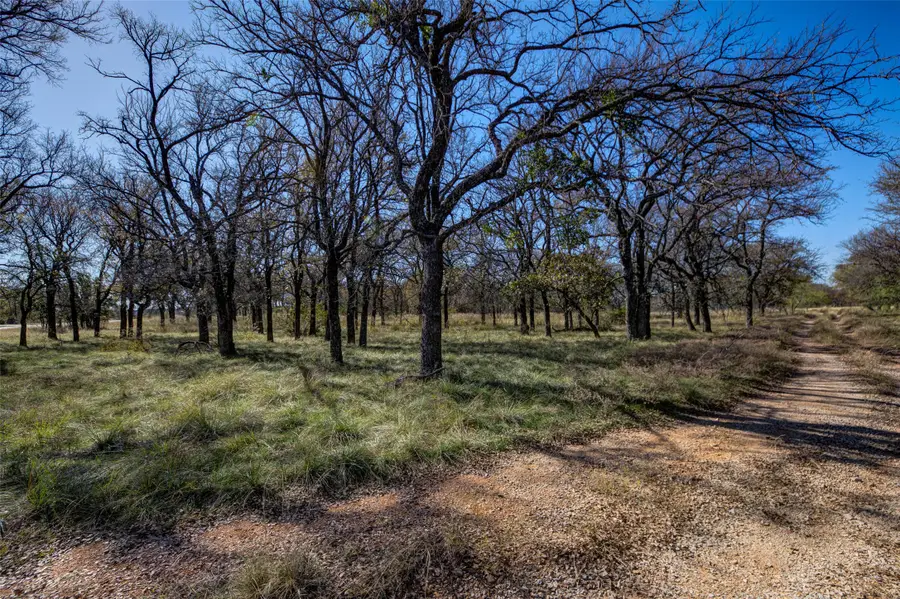 Lot 195 Grand Harbor Boulevard, Chico, TX 76431 - Image #2