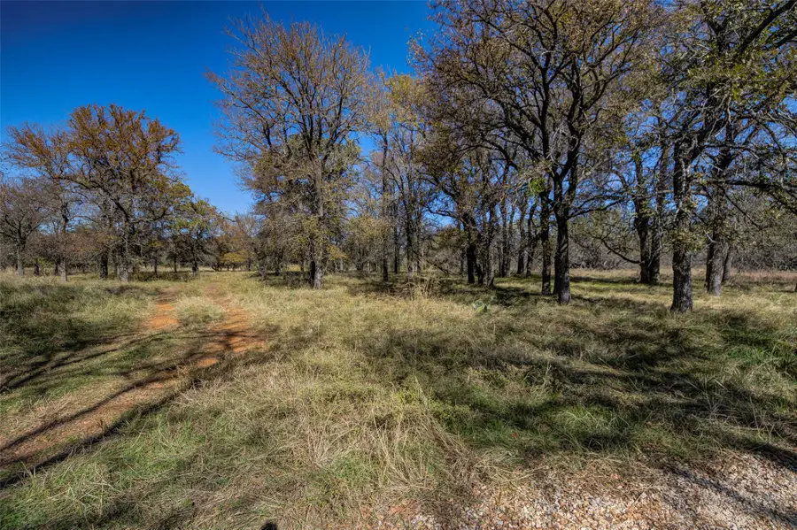 Lot 195 Grand Harbor Boulevard, Chico, TX 76431 - Image #3