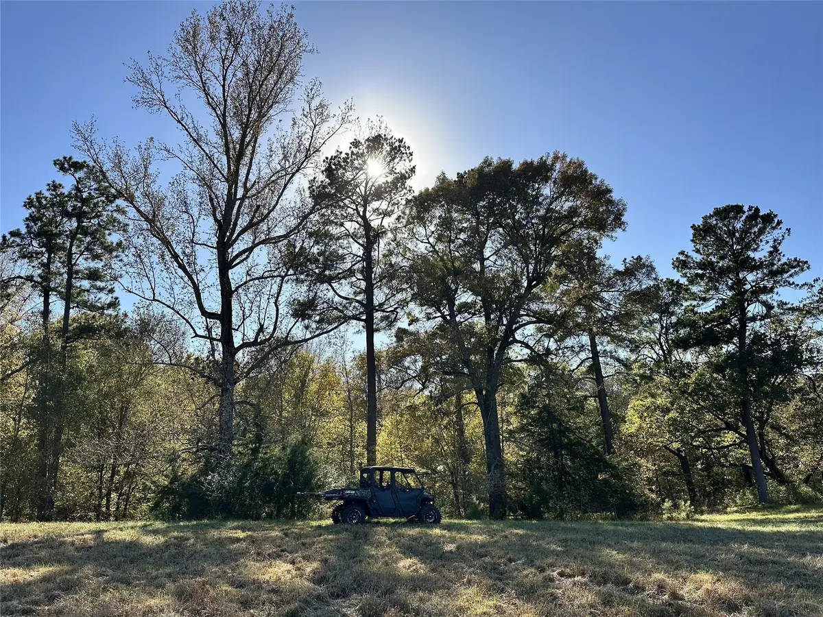 TBD Cr 3335, Avery, TX 75554 - Image #1