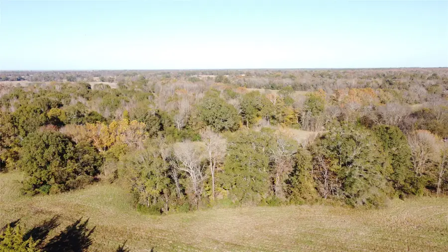 TBD Cr 3335, Avery, TX 75554 - Image #2