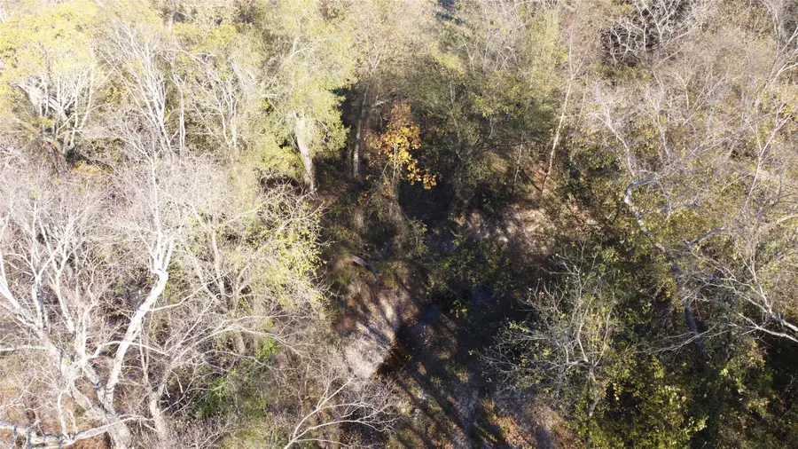 TBD Cr 3335, Avery, TX 75554 - Image #3