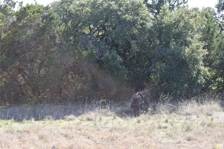 6525 Archerfield Court W, Cleburne, TX 76033 - Image #3