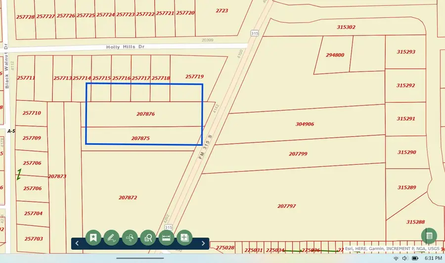 0000 Fm 315, Larue, TX 75770 - Image #3